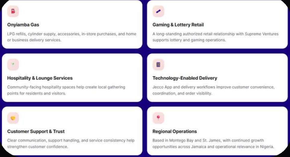 Onyiamba website development project